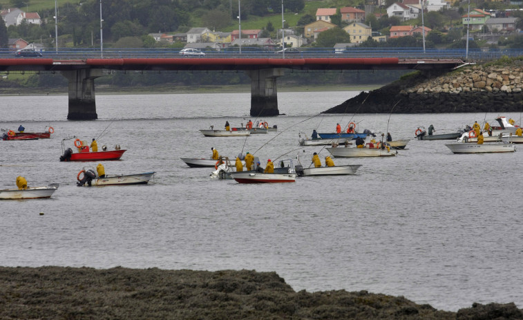 La Consellería do Mar afirma que el último estudio de la ría constata su recuperación