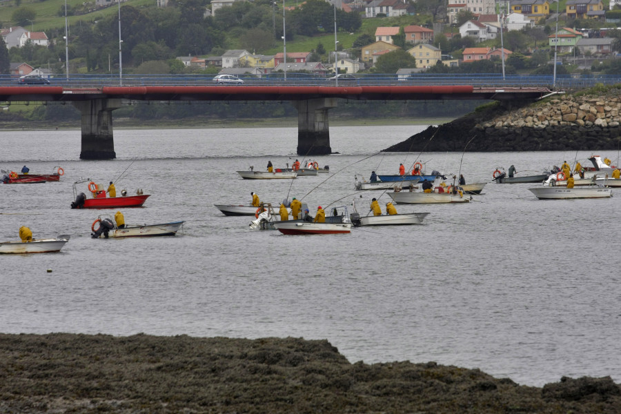 La Consellería do Mar afirma que el último estudio de la ría constata su recuperación