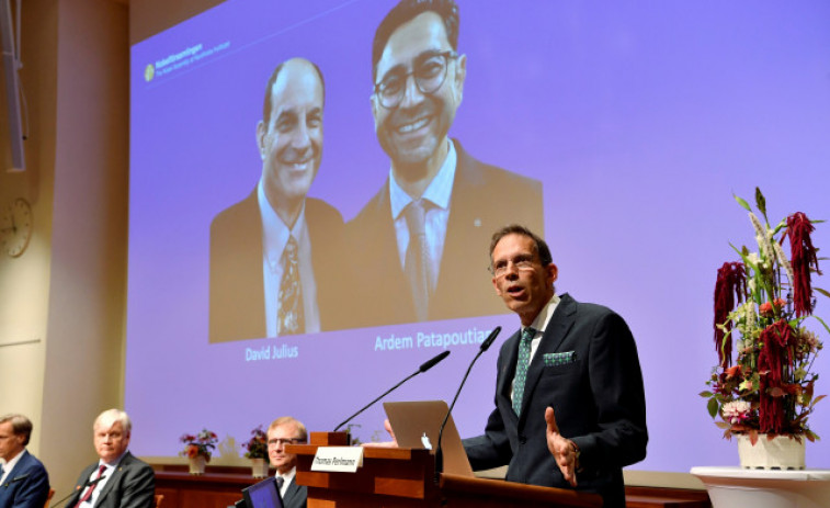 Julius y Patapoutian, Nobel de Medicina por sus hallazgos de receptores de temperatura y tacto
