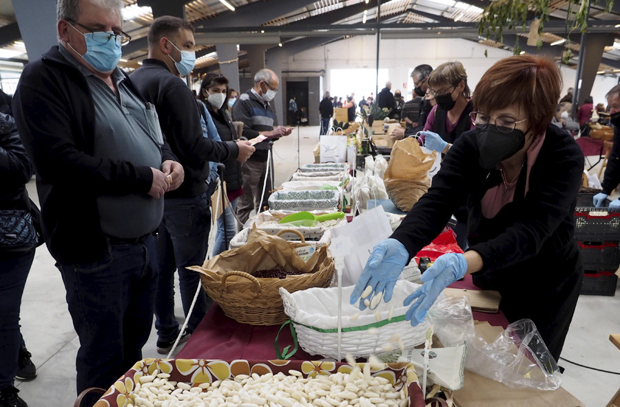 A Feira da Faba de Moeche pon en valor o cultivo do producto no municipio