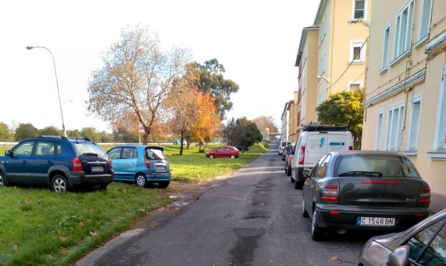 Un jabalí ataca a una mujer que paseaba a su perro en Caranza