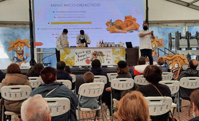 El concurso de cestas pondrá hoy el colofón  a la Feira de Fungos e Cogomelos pontesa