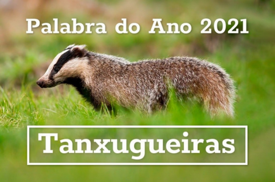 Tanxugueiras, a palabra do ano en Galicia escollida por votación popular