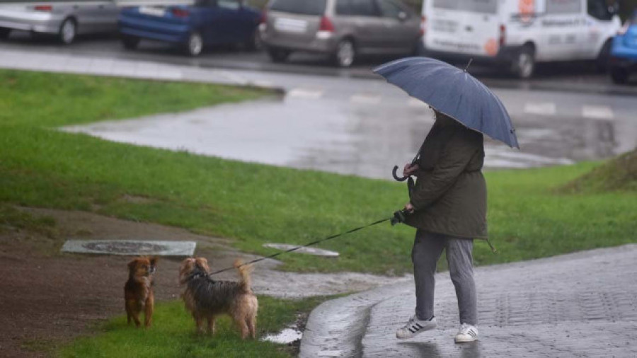Un vecino de Cambre se enfrenta a una multa de 750 euros por no recoger los excrementos del perro