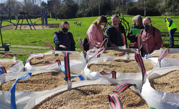 El área de Servizos intervino este mes en siete parques infantiles de la ciudad