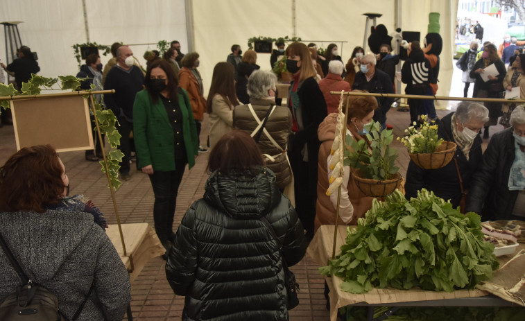 Gran participación de público y cestas en la XLI Feira do Grelo celebrada ayer en el concello de As Pontes
