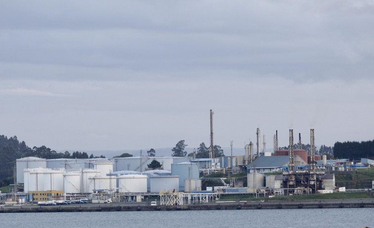 Conde destaca el proyecto de Forestal del Atlántico  como uno de los pilares de la candidatura gallega al los Proyectos para la Recuperación y Transformación Económica