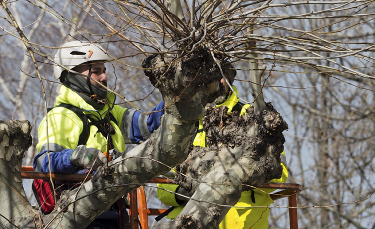 Los trabajadores de jardines anuncian movilizaciones por la falta de contrato en vigor