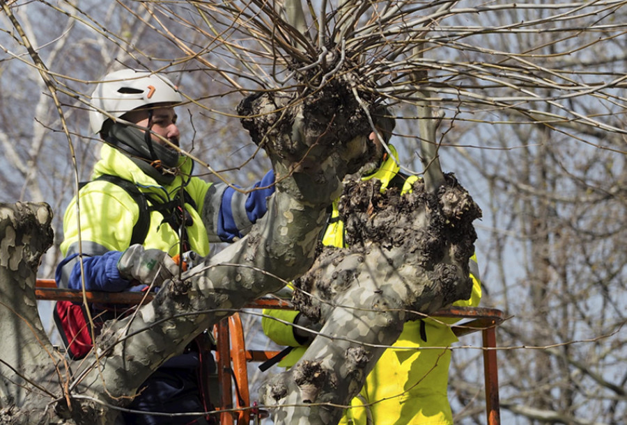 Los trabajadores de jardines anuncian movilizaciones por la falta de contrato en vigor