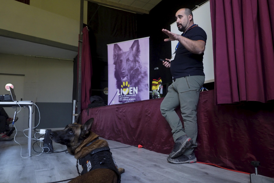 Los perros pueden ayudar a las víctimas de violencia de género