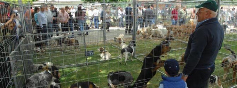 La Xunta alega contra la intención del Gobierno de obligar a esterilizar a los perros de caza