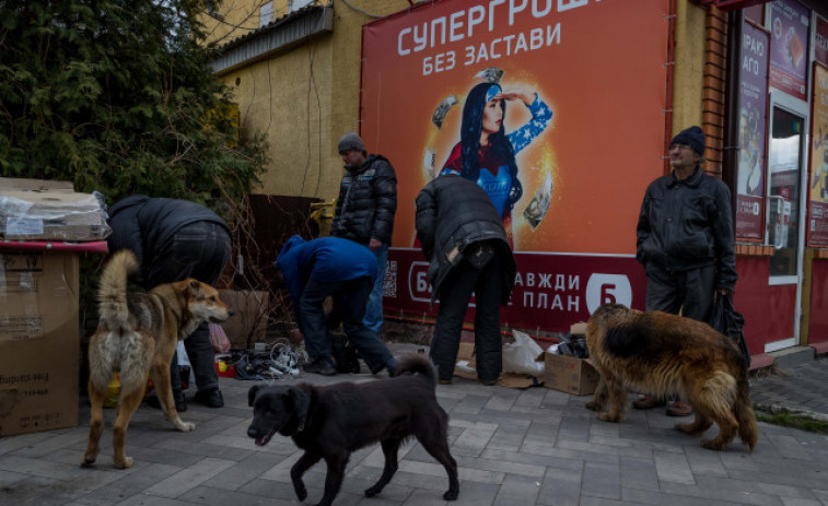 Viaja 5.000 kilómetros para salvar a una treintena de perros de Ucrania