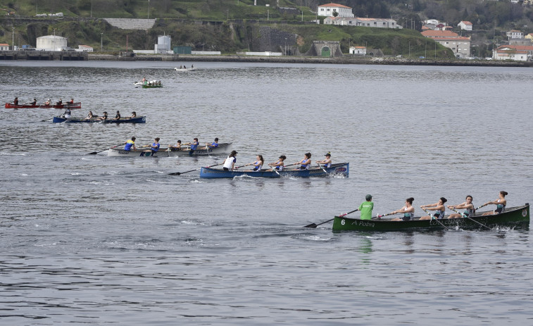 Doce embarcaciones locales disputarán la final del Gallego de bateles