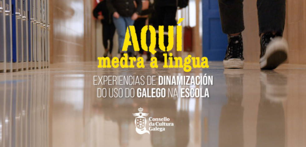 A serie web sobre a dinamización lingüística 