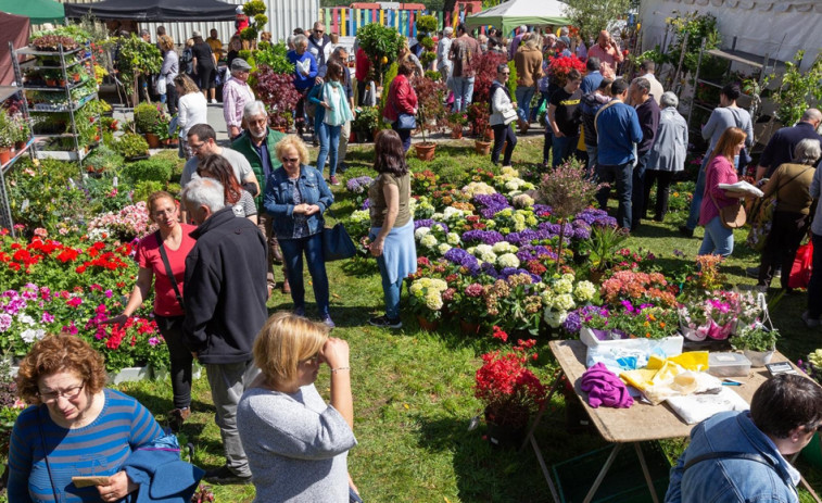 Continúan las actividades relacionadas con el rural  tras la Feira da Plantación