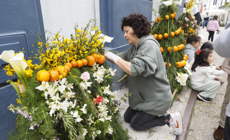 Canido y Pontedeume celebraron la fiesta de la primavera bajo la tradición de Os Maios