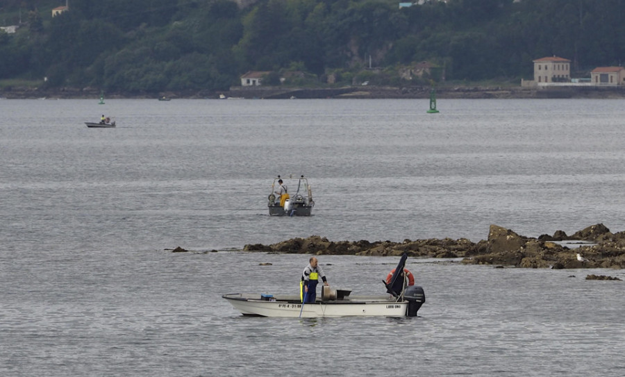 El Parlamento de Galicia da luz verde al estudio integral para la regeneración de la ría de Ferrol