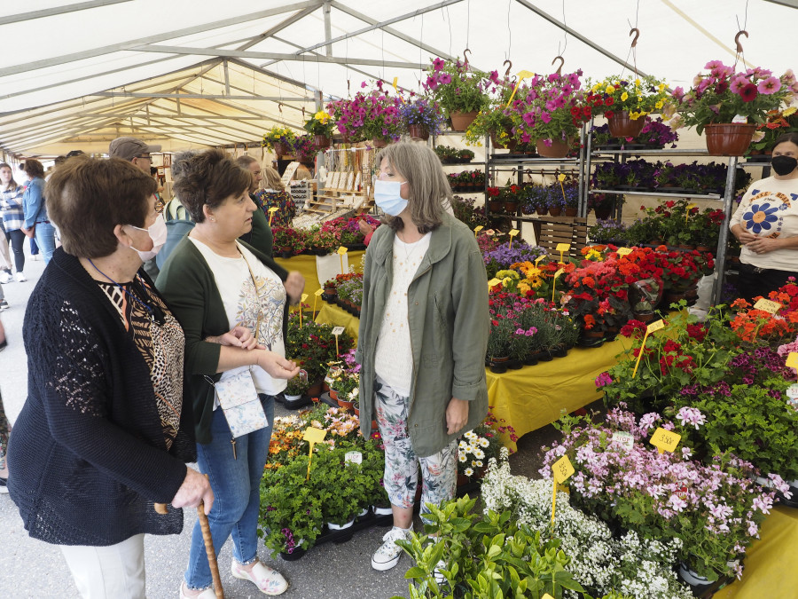 Vilarmaior recupera su tradicional Feira das Flores tras dos años de parón por culpa de la pandemia