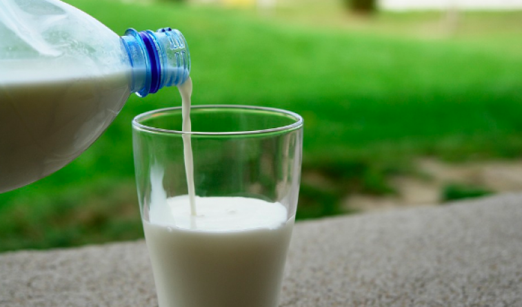 4 Alimentos para los intolerantes a la lactosa