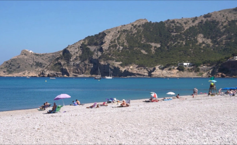 Susto en una playa de Alicante al salir del mar un jabalí y morder a bañista