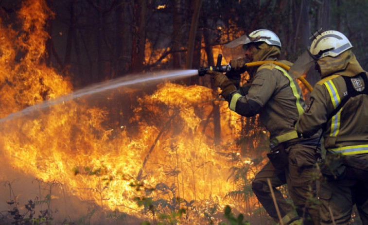 Interrumpida la circulación ferroviaria entre Madrid-Galicia y Zamora-Sanabria AV por un incendio forestal