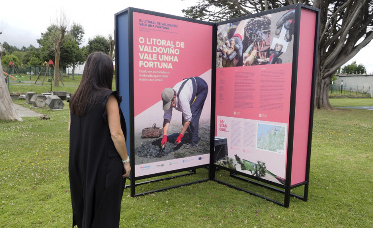 Mariscadoras y percebeiros de Valdoviño protagonizan una exposición en el parque de Lago