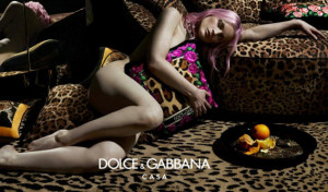 Dolce & Gabbana Casa