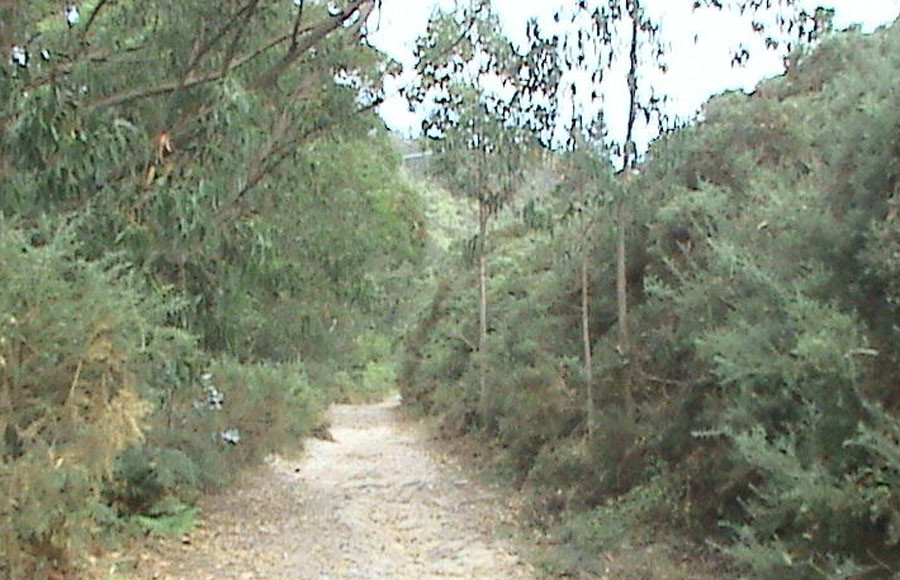 Restricciones al tráfico motorizado en los montes municipales de Chá de Brión