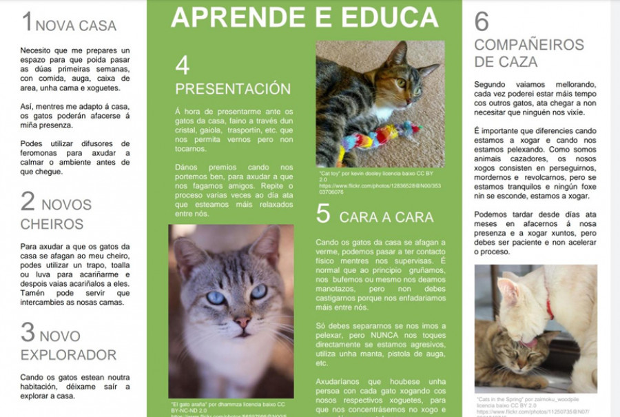 Alumnos de Etología elaboran una guía de consejos para adoptantes del refugio de Mougá