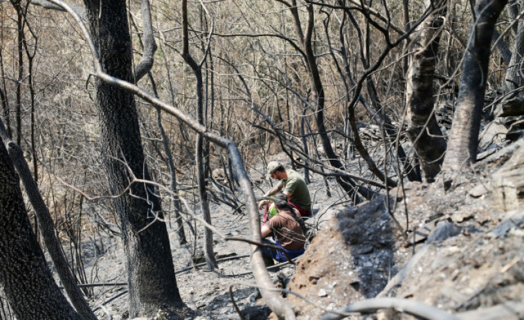 En Galicia siete incendios siguen activos y cuatro ya están extinguidos