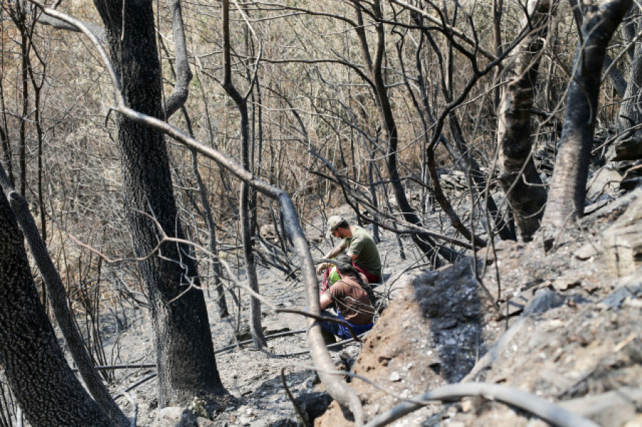 En Galicia siete incendios siguen activos y cuatro ya están extinguidos