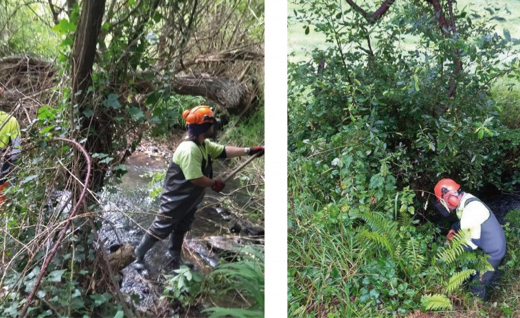 La Xunta acomete tareas de limpieza en tramos de ríos a su paso por Valdoviño y Cedeira