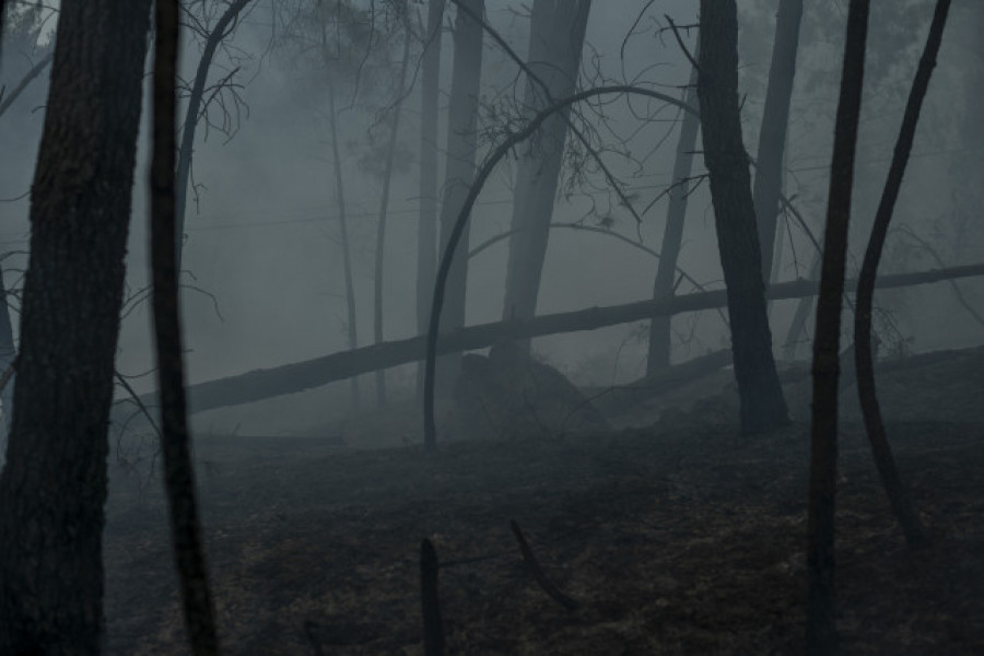 El incendio de Arbo llega a las 300 hectáreas quemadas