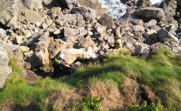 El helicóptero de Cantabria rescata a una vaca caída en un acantilado de Ruiloba