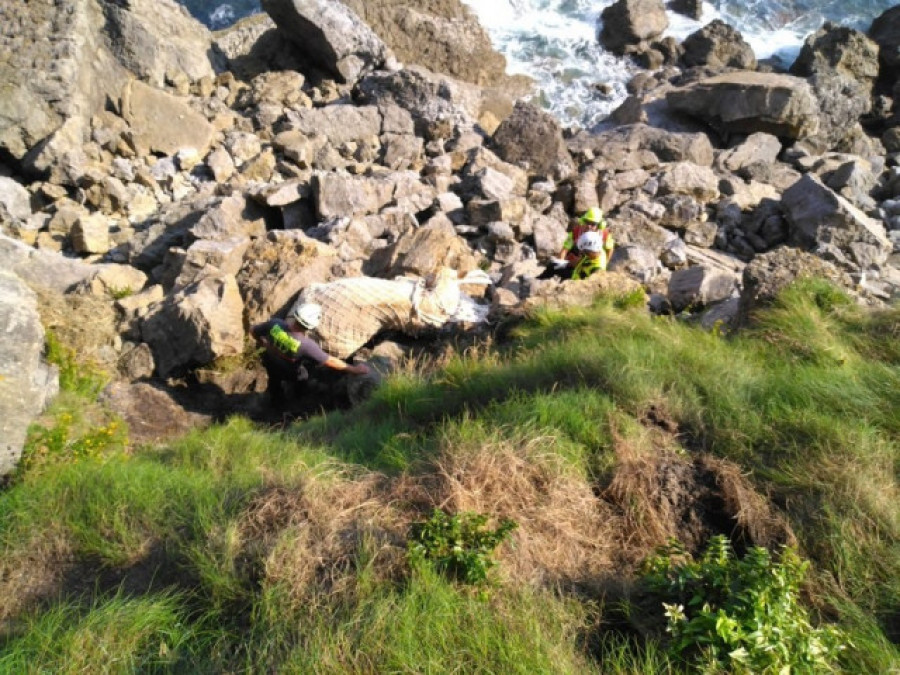 El helicóptero de Cantabria rescata a una vaca caída en un acantilado de Ruiloba