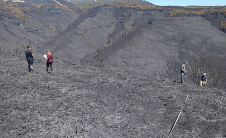 El fuego se reaviva en varias zonas de O Courel días después de su extinción