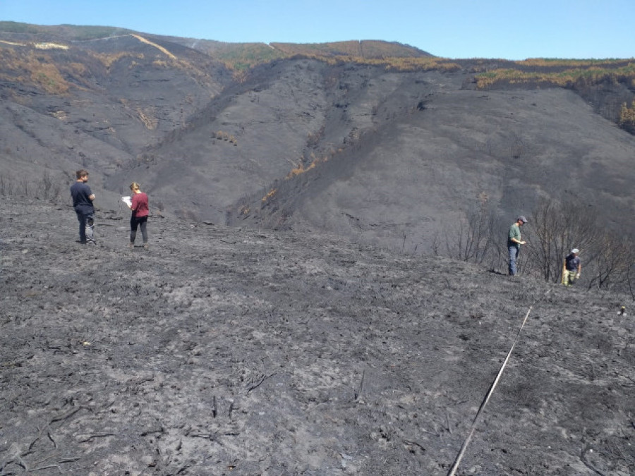 El fuego se reaviva en varias zonas de O Courel días después de su extinción