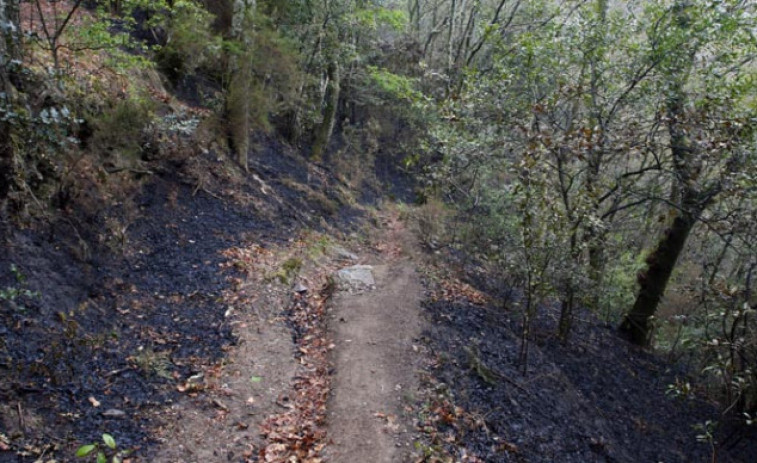 Activo un fuego en Monfero que afecta a las Fragas do Eume