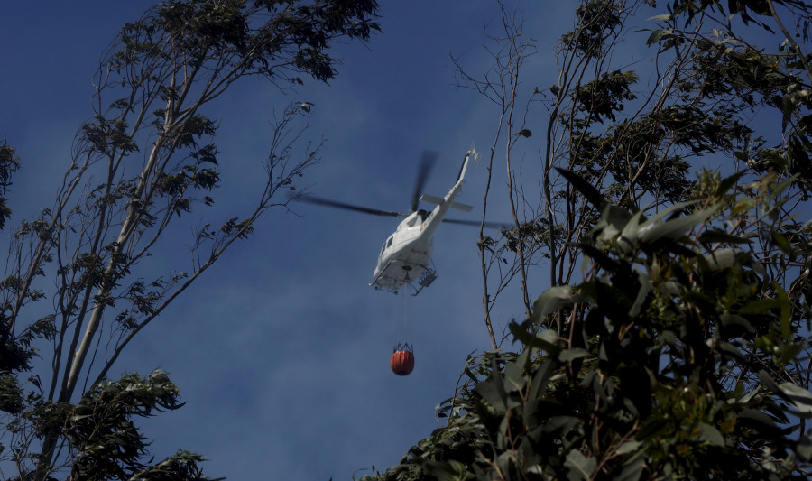 Medio Rural extingue un pequeño incendio forestal en la parroquia de Queixeiro