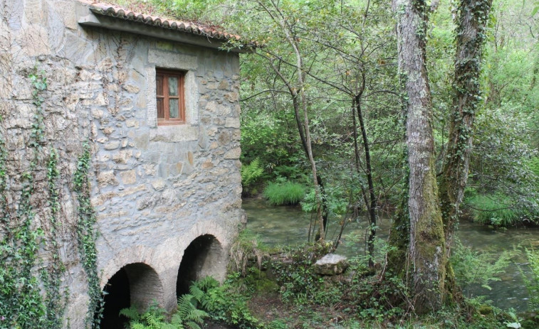 O programa de rutas guiadas do Concello anima a ir “Descubrindo Neda”
