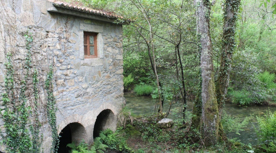 O programa de rutas guiadas do Concello anima a ir “Descubrindo Neda”