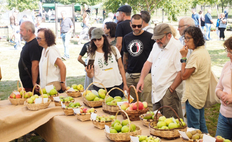 A Fusquenlla, uno de los protagonistas en la Feira do Rural de San Sadurniño