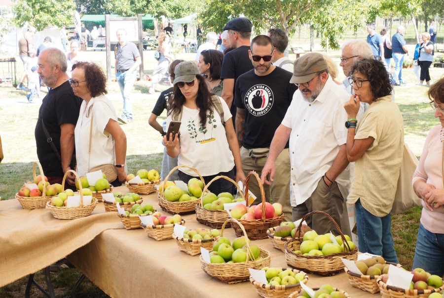 A Fusquenlla, uno de los protagonistas en la Feira do Rural de San Sadurniño