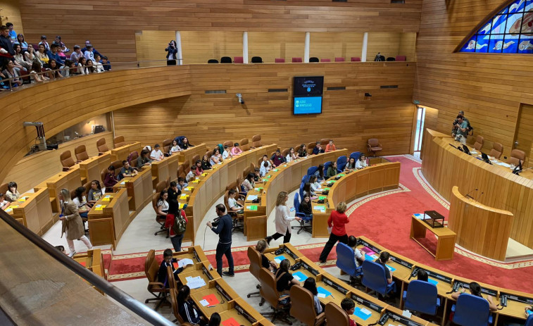 El Parlamento rechaza una propuesta del BNG por la contaminación en As Somozas