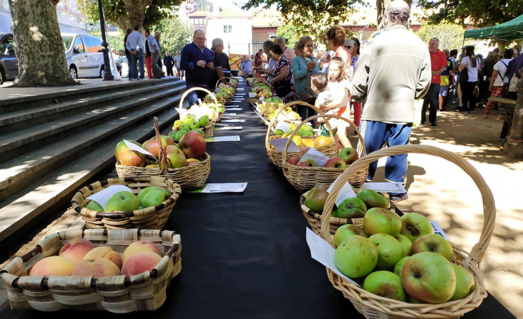 Las frutas, protagonistas ayer en las fiestas de Pontedeume