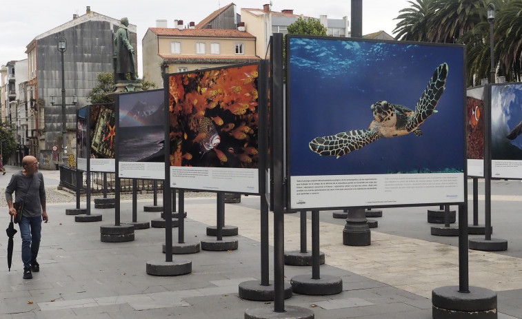 Abanca lleva a la Plaza de Amboage la exposición de fotografía “Nuestros océanos”