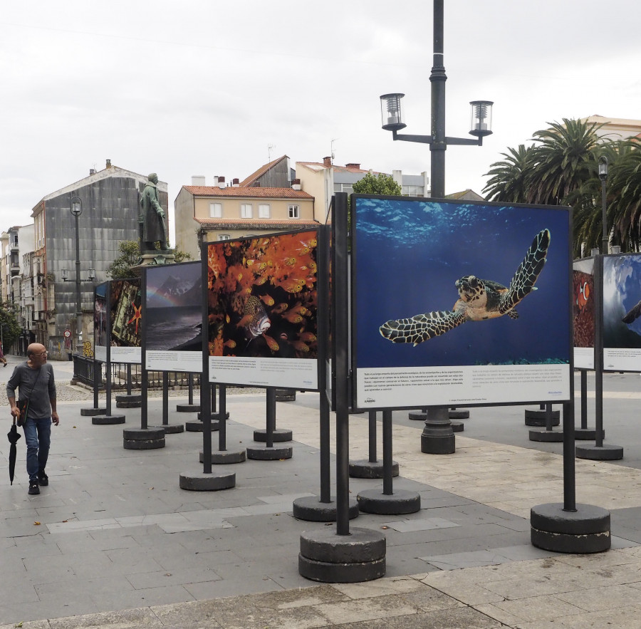 Abanca lleva a la Plaza de Amboage la exposición de fotografía “Nuestros océanos”