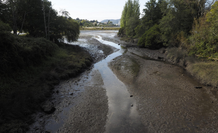 Medio Ambiente limpiará los tramos urbanos de los ríos del municipio