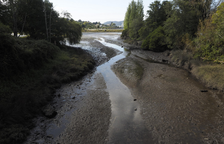 Medio Ambiente limpiará los tramos urbanos de los ríos del municipio