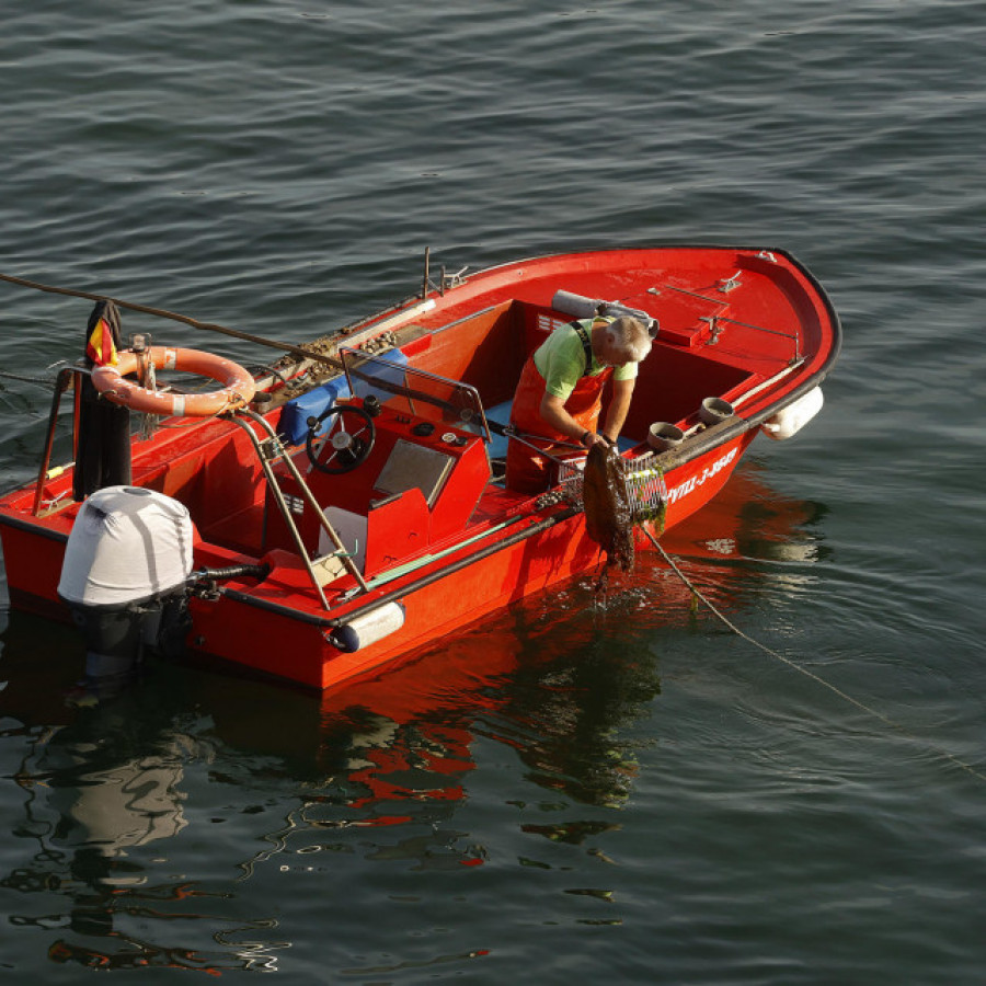 La campaña del libre marisqueo comienza con buenos precios